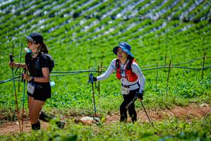 BIB: 2074, 140
                            <button type="button" onclick="openModal(19164628)" class="btn btn-primary btn-sm float-right btn-popup" data-toggle="modal" data-target=".modal-high-quality">
                        <i class="fas fa-shopping-cart"></i> Add to Cart
                    </button>
                                            <button type="button" onclick="isThisMe(19164628, true)" class="btn btn-success btn-sm float-right btn-popup btn-isme hidden" data-toggle="tooltip" data-placement="bottom" title="นี่คือรูปของคุณใช่ไหม คลิกที่นี่เพื่อเอาเข้าอัลบั้ม">
                        <i class="fas fa-plus"></i> Add to album
                    </button>
                    <button type="button" onclick="isThisMe(19164628, false)" class="btn btn-warning btn-sm float-right btn-popup btn-isnotme hidden">
                        <i class="fas fa-ban"></i> Remove from album
                    </button>